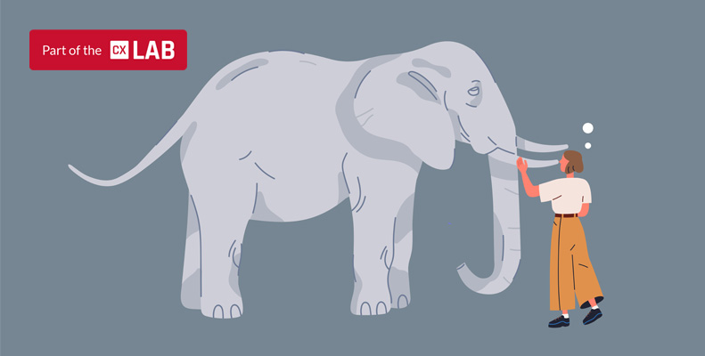 WHAT ELEPHANTS AND CUSTOMER EXPERIENCES HAVE IN COMMON